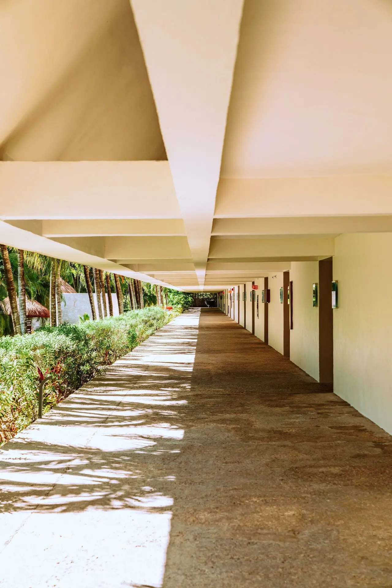 brown concrete pathway between green plants