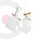 2CLAT38_1.webp