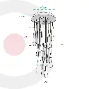 2CLAT44_2.webp