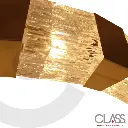 2CLAT61_1.webp