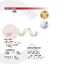 2CLAT67_7.webp