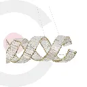 2CLAT69_1.webp