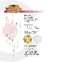 2CLAT102_4.webp