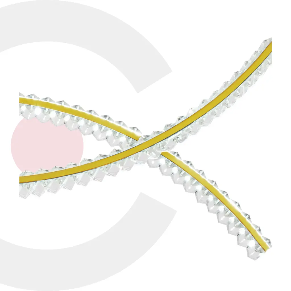 2CLAT109_1.webp