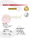 2CLAT109_7.webp