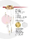 2CLAT112_4.webp