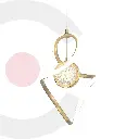 2CLAT117_1.webp