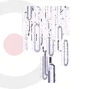 2CLAT124_1.webp