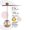 2CLDI10_4.webp