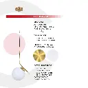2CLDI31_4.webp