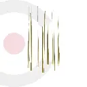 2CLDI35_1.webp