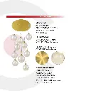 2CLDI39_4.webp