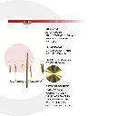 2CLZM74_4.webp