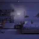 2CLZM88_3.webp
