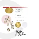 2CLOC10_4.webp