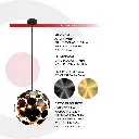2CLTP575_4.webp