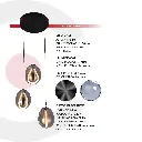 2CLTP697_4.webp