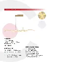 2CLTP704_4.webp