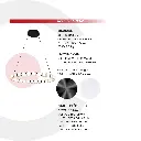 2CLTP705_4.webp