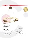 2CLTP707_4.webp