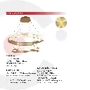 2CLTP708_4.webp