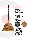2CLTP712_4.webp