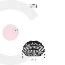 2CLTP717_2.webp