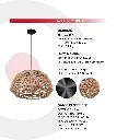 2CLTP717_4.webp