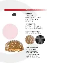 2CLTP724_4.webp
