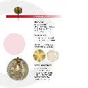 2CLTP729_4.webp