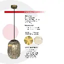 2CLTP733_4.webp