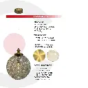2CLTP736_4.webp
