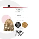 2CLTP742_4.webp