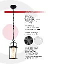 2CLTP749_4.webp