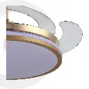 5VTP12_1.webp