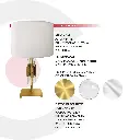 3LMDI40_4.webp