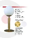 3LMTP579_4.webp